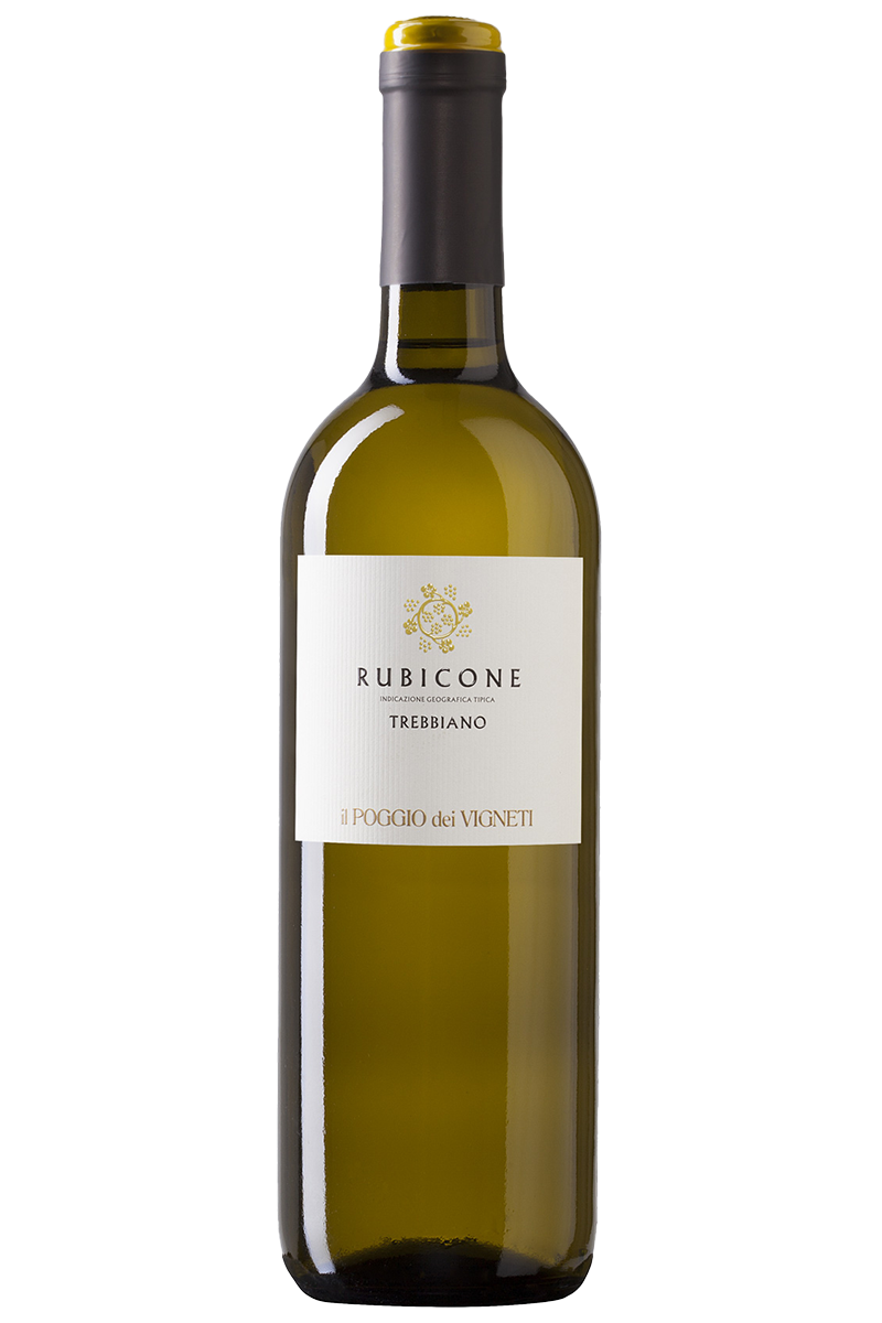 Rubicone Trebbiano PV RUBICONE TREBBIANO IGT - Image 1